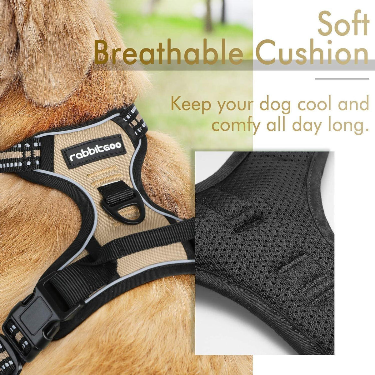 Classic Fit No Pull Dog Harness
