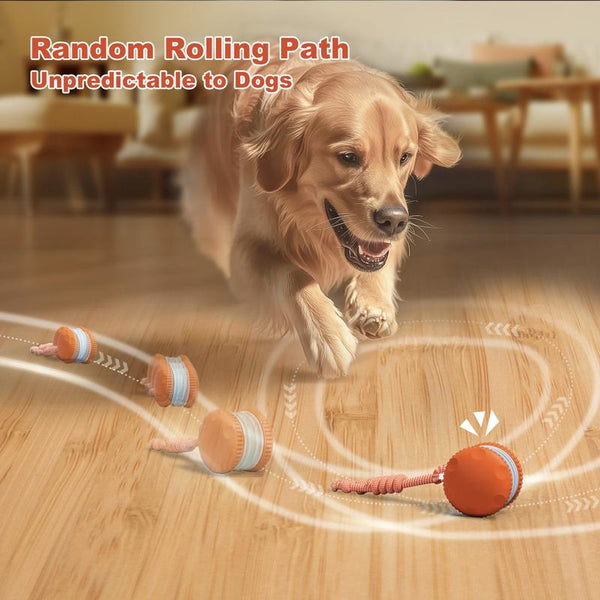 PouncePulse™ Interactive Motion-Activated Dog Toy