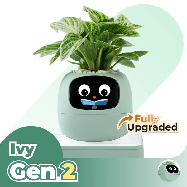 Ivy | Desk Plant Pet
