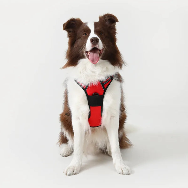 Classic Fit No Pull Dog Harness