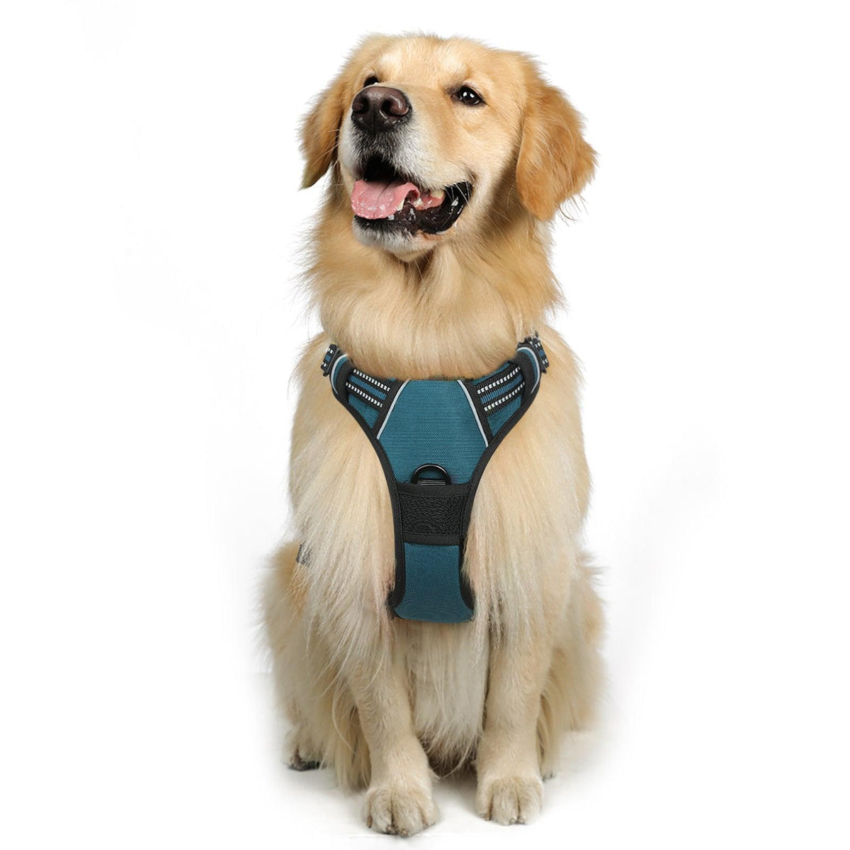Classic Fit No Pull Dog Harness