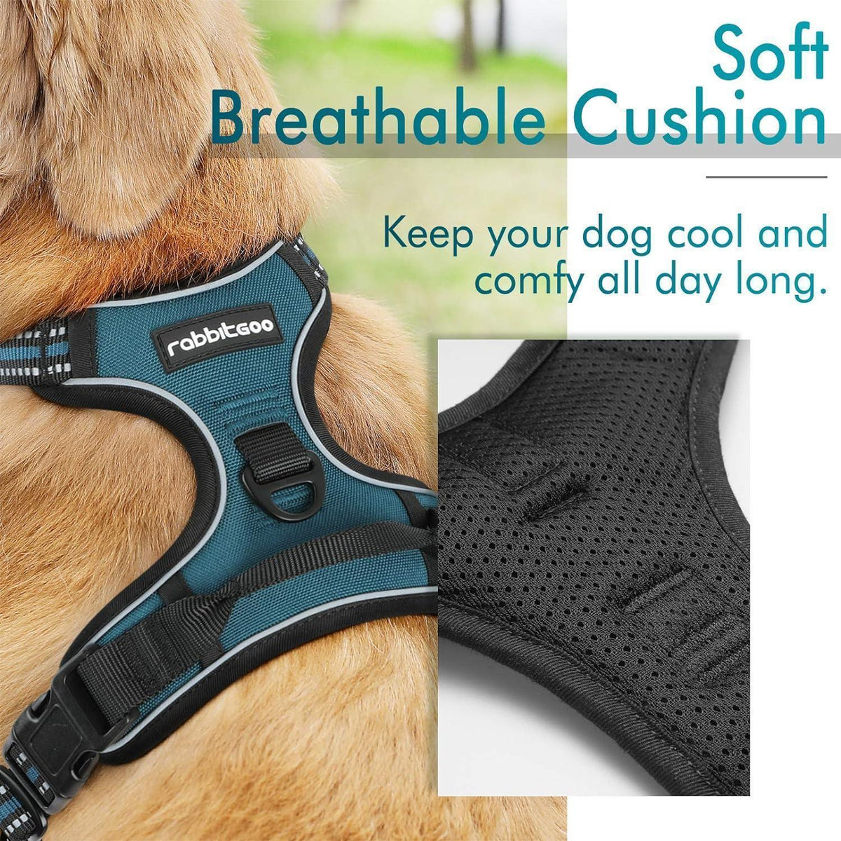 Classic Fit No Pull Dog Harness
