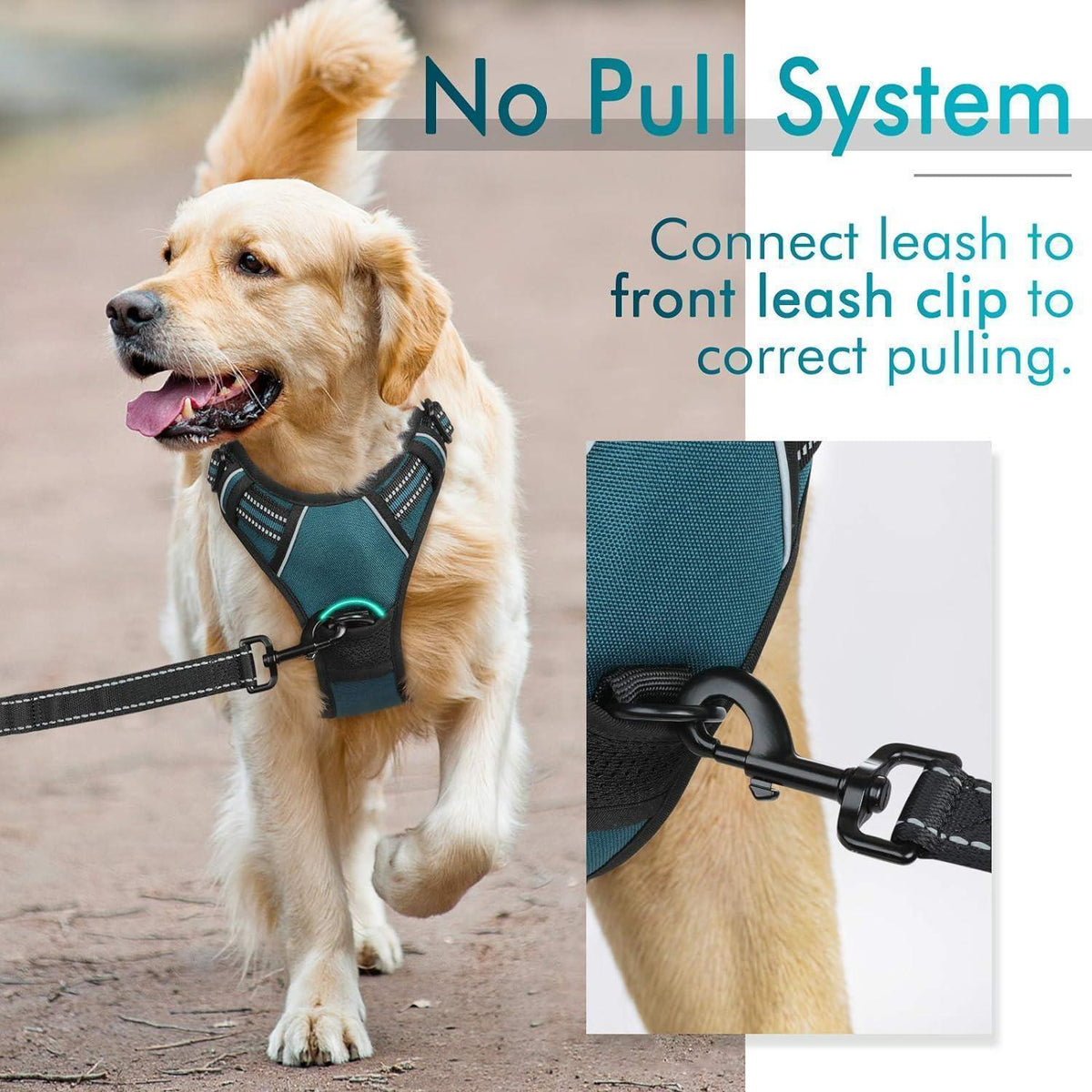 Classic Fit No Pull Dog Harness