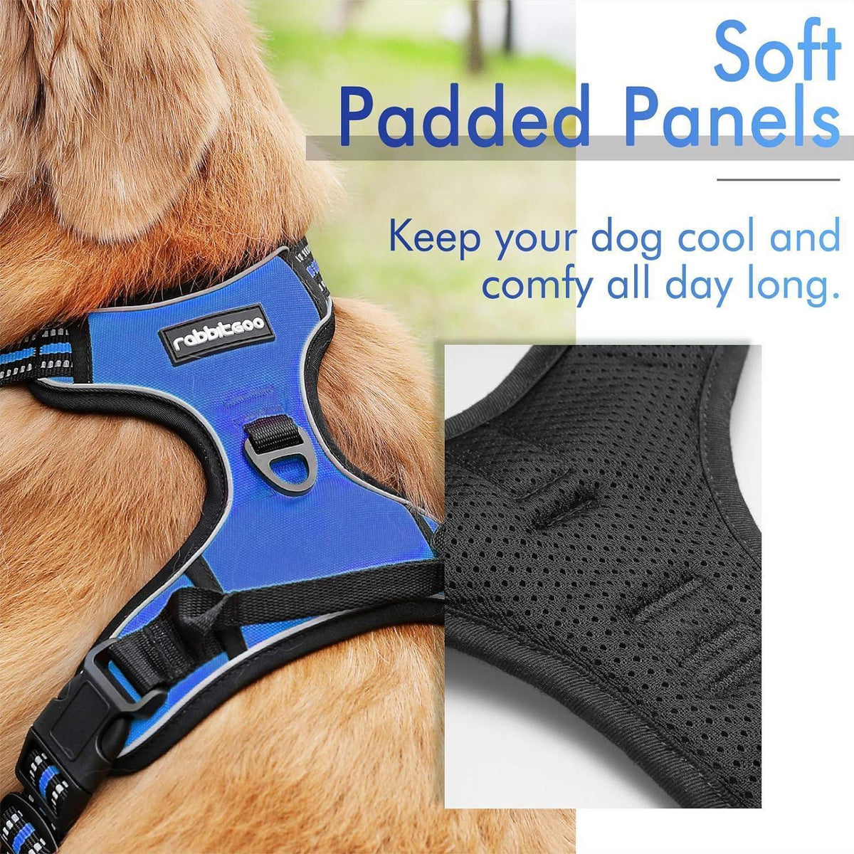 Classic Fit No Pull Dog Harness