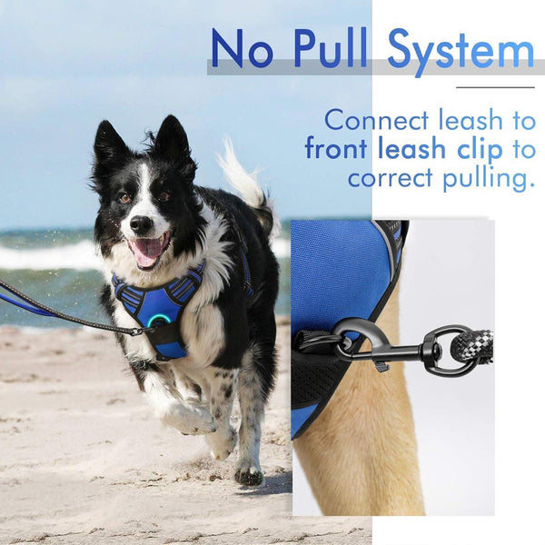 Classic Fit No Pull Dog Harness