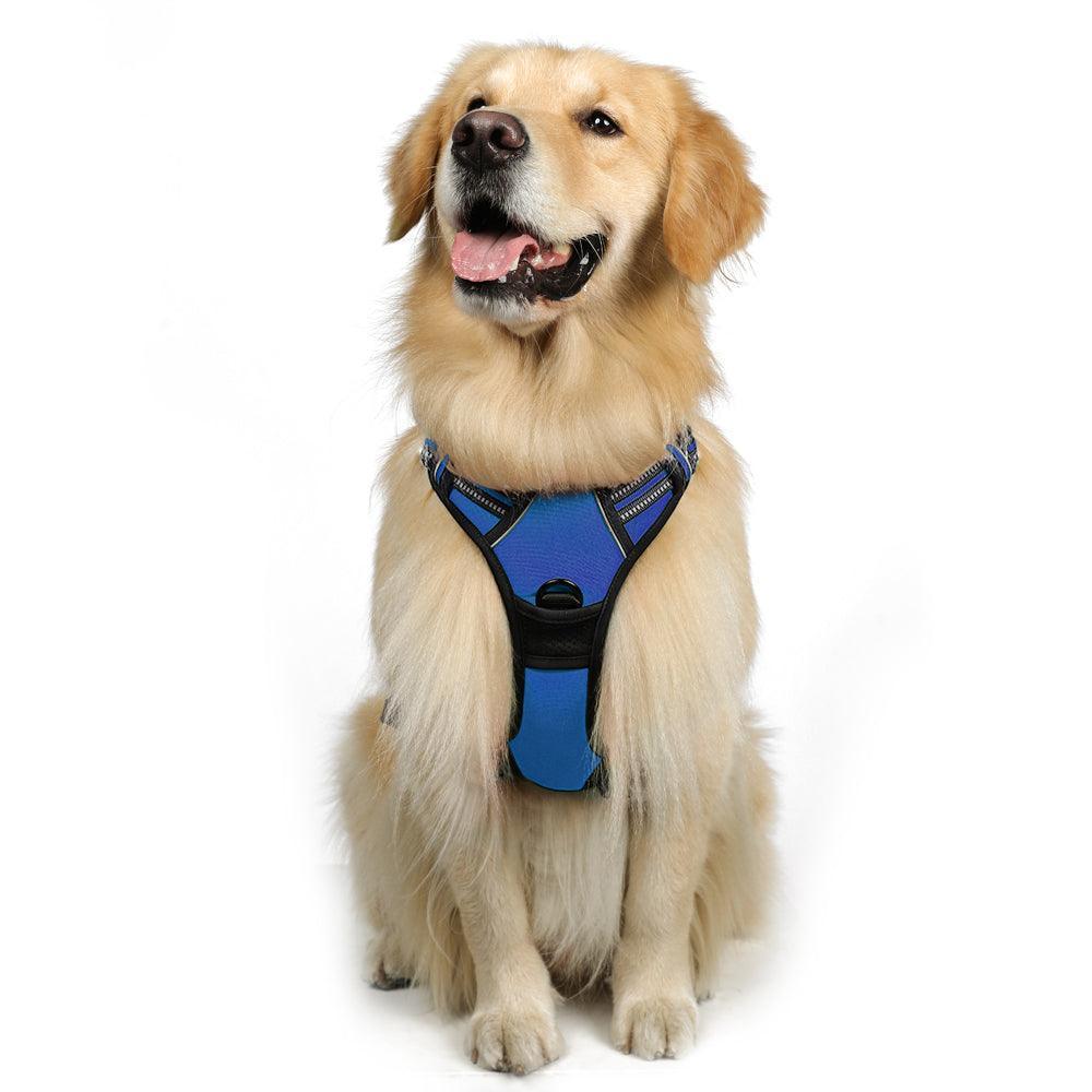 Classic Fit No Pull Dog Harness