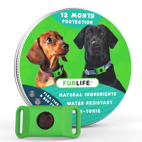 FurLife Keeps Pets Flea and Tick Free Naturally