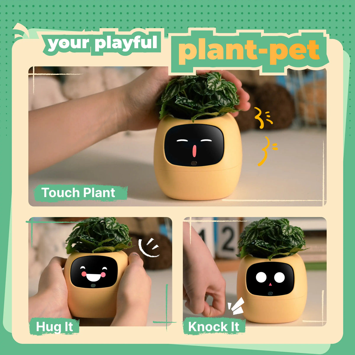 Ivy | Desk Plant Pet