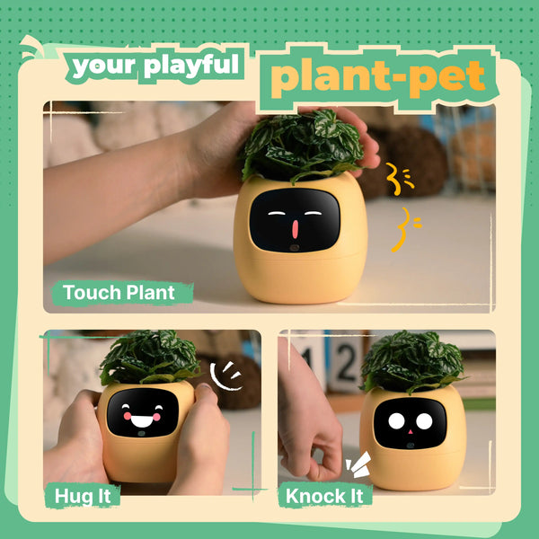 Ivy | Desk Plant Pet