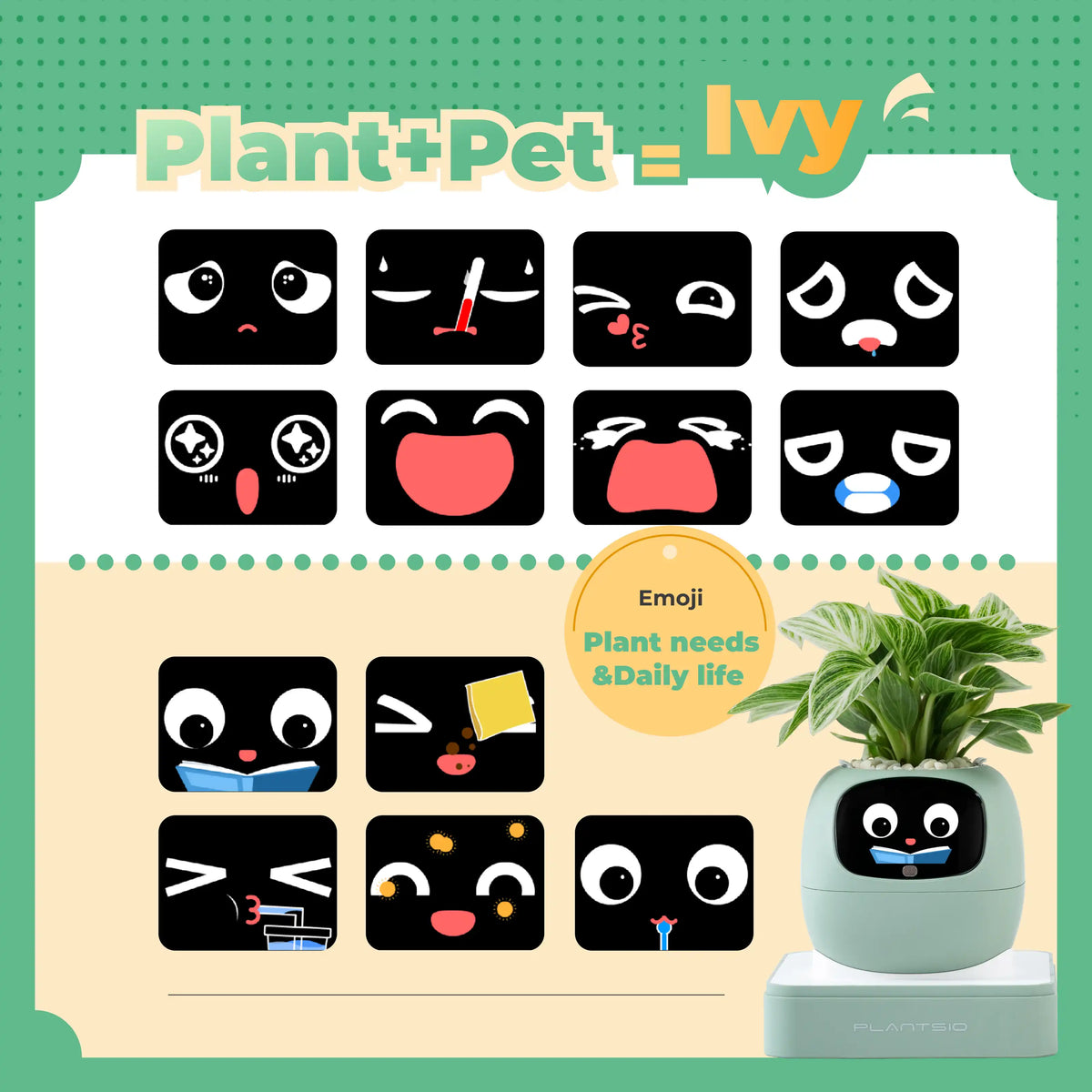 Ivy | Desk Plant Pet