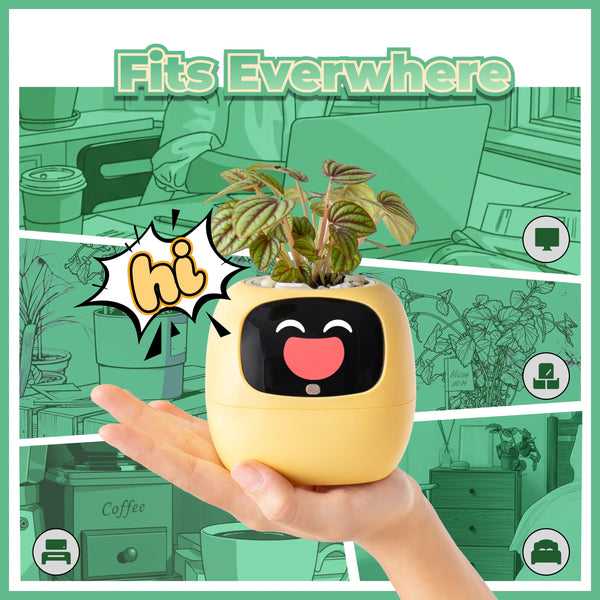 Ivy | Desk Plant Pet