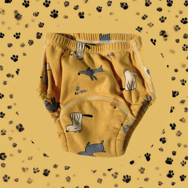 DrySteps™ Absorbent Potty Training Underwear