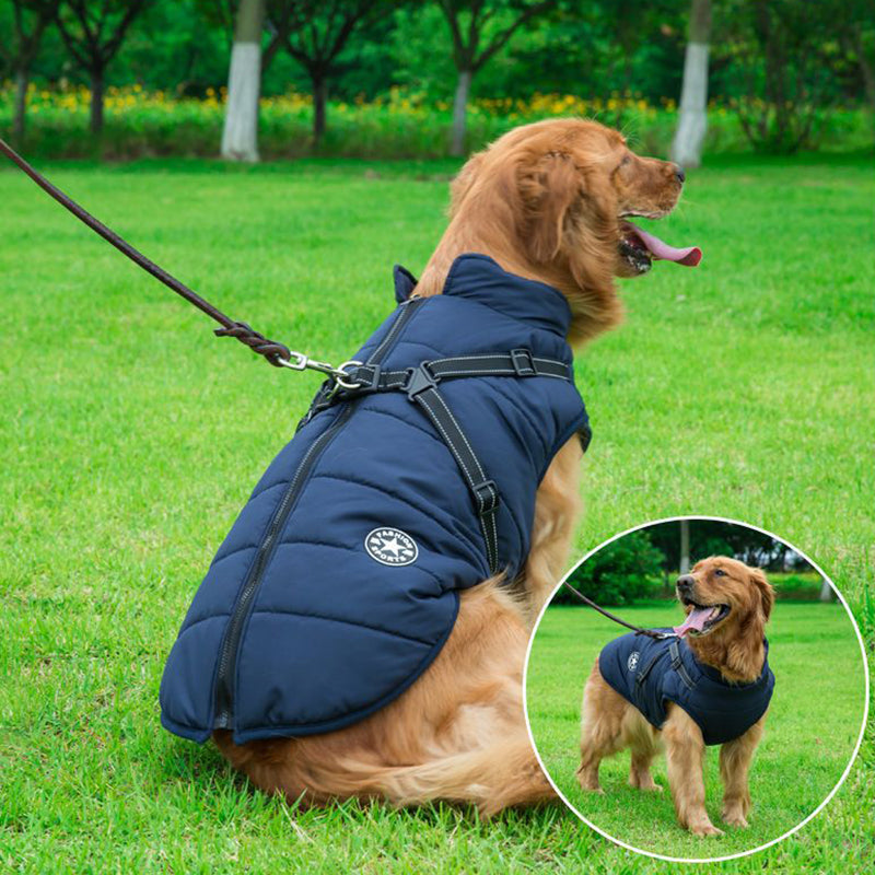 FrostShield™ Waterproof Dog Adventure Jacket