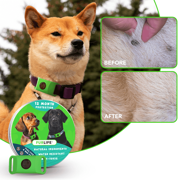 FurLife Keeps Pets Flea and Tick Free Naturally
