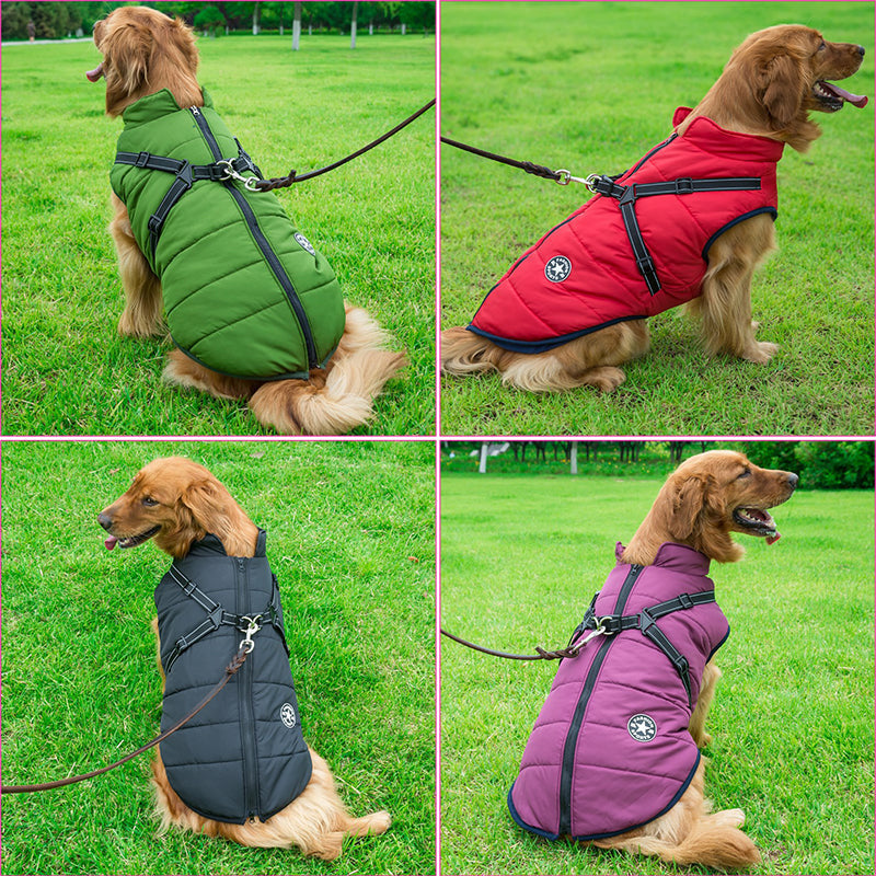 FrostShield™ Waterproof Dog Adventure Jacket