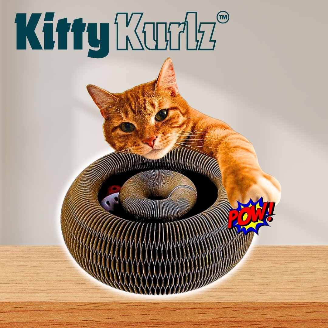 Kitty Kurlz Keeps Cats Entertained with Endless Fun