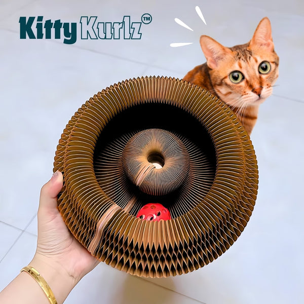 Kitty Kurlz Keeps Cats Entertained with Endless Fun