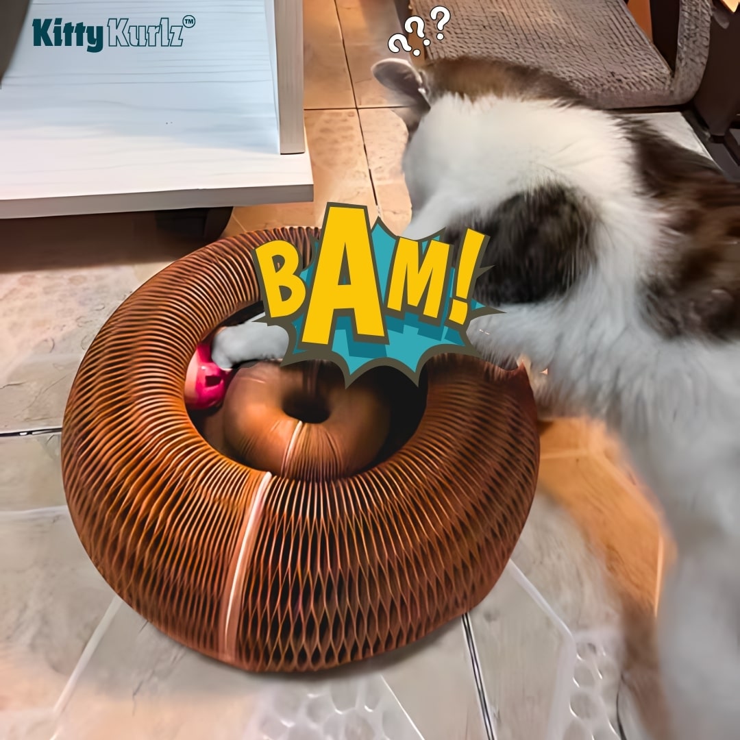 Kitty Kurlz Keeps Cats Entertained with Endless Fun