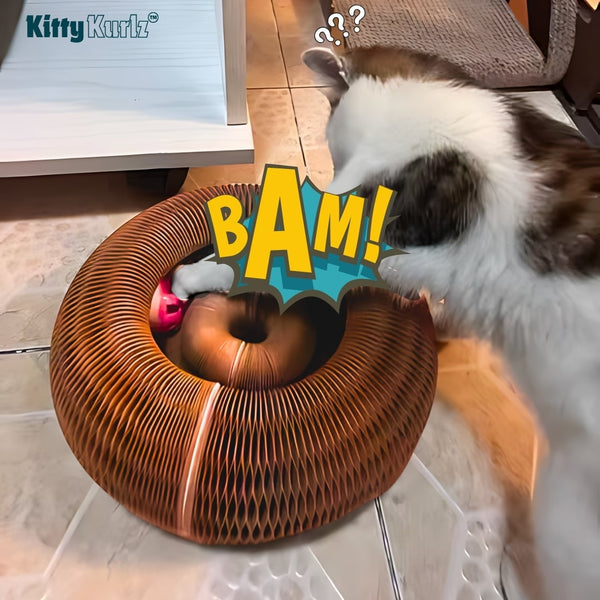 Kitty Kurlz Keeps Cats Entertained with Endless Fun