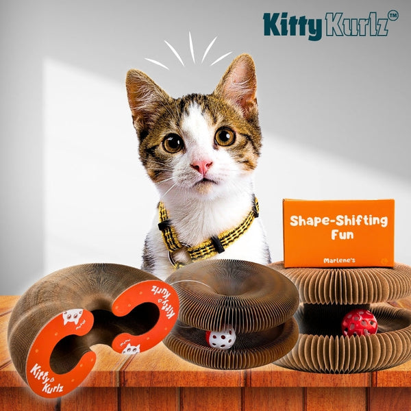 Kitty Kurlz Keeps Cats Entertained with Endless Fun