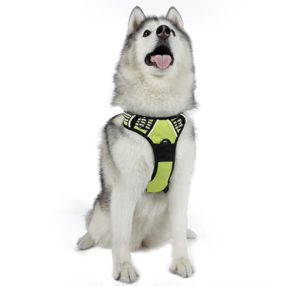 Classic Fit No Pull Dog Harness