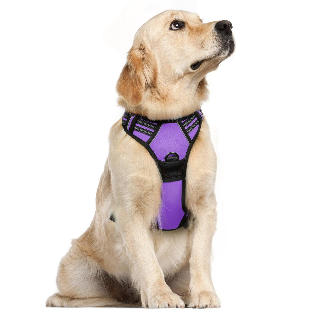 Classic Fit No Pull Dog Harness