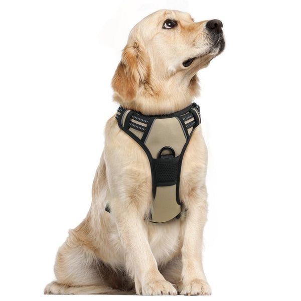 Classic Fit No Pull Dog Harness