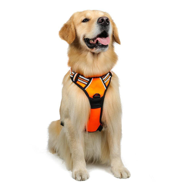 Classic Fit No Pull Dog Harness