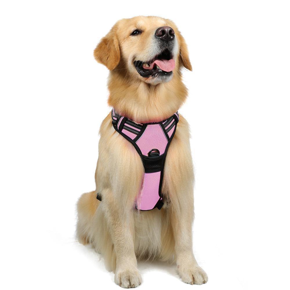 Classic Fit No Pull Dog Harness