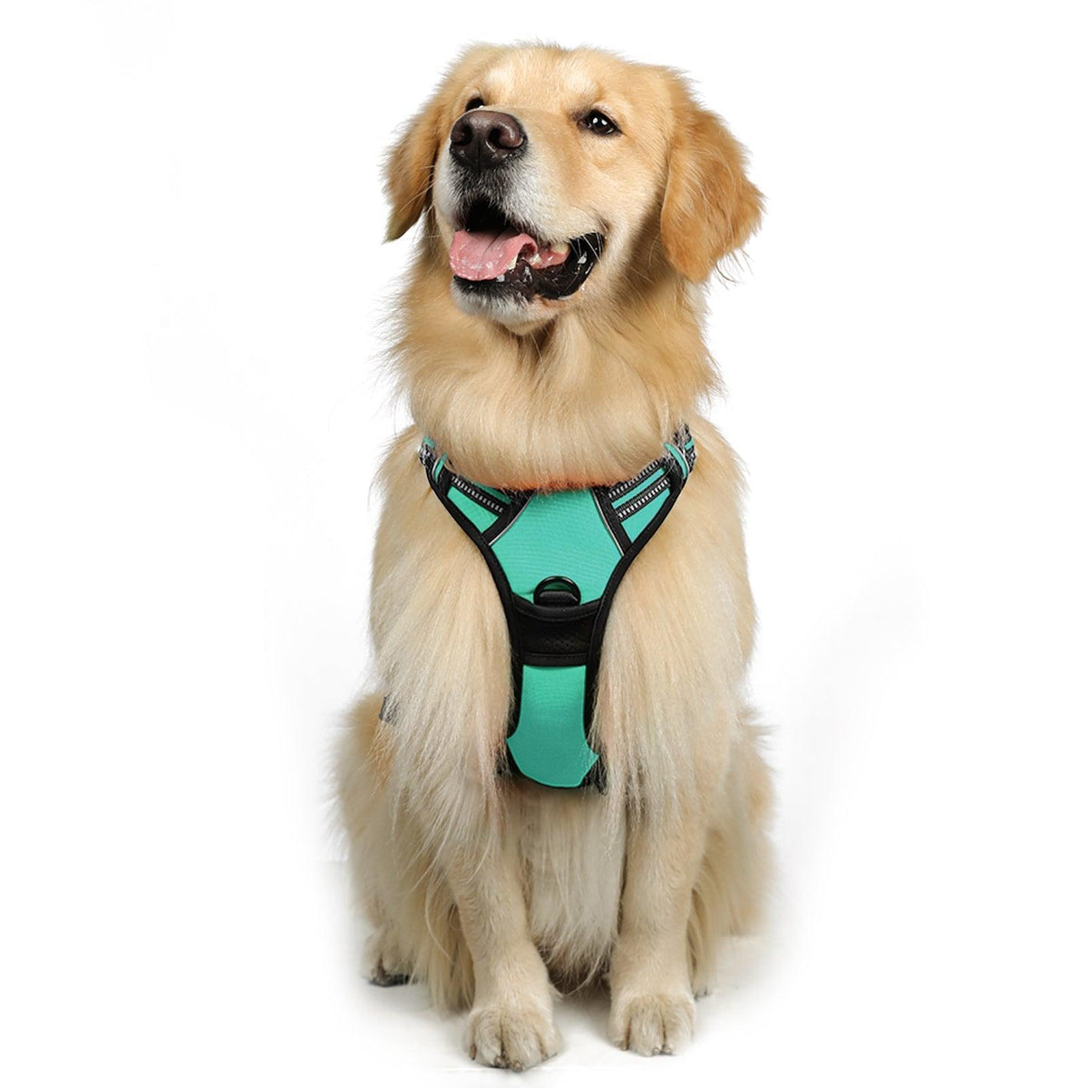 Classic Fit No Pull Dog Harness