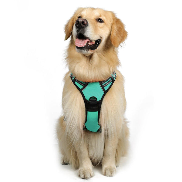 Classic Fit No Pull Dog Harness