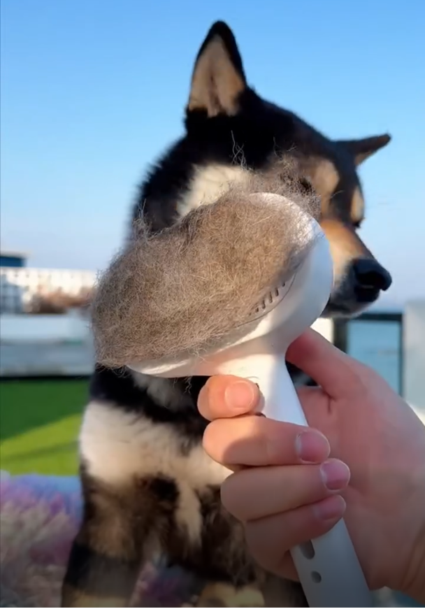 SteamPaw™ 3-in-1 Pet Grooming Brush