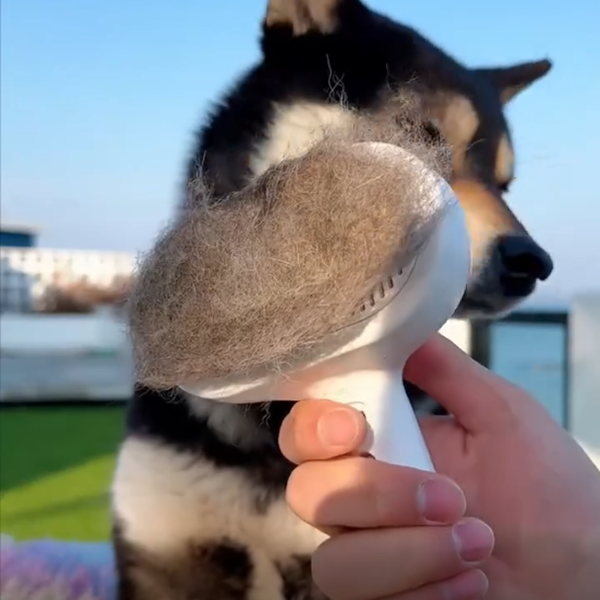 SteamPaw™ 3-in-1 Pet Grooming Brush