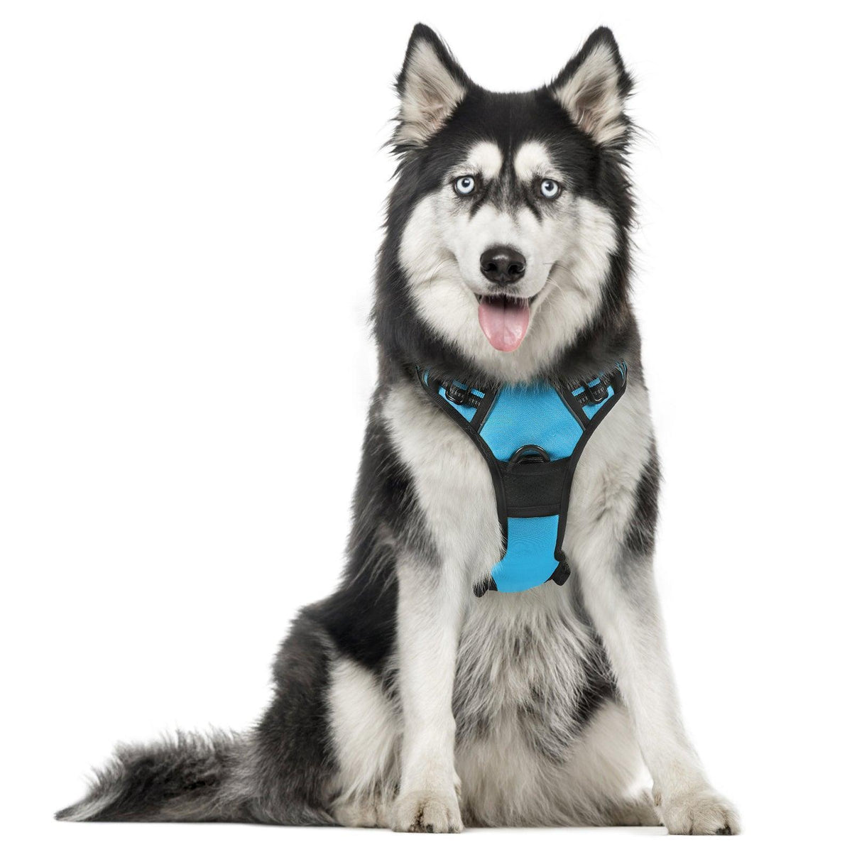 Classic Fit No Pull Dog Harness