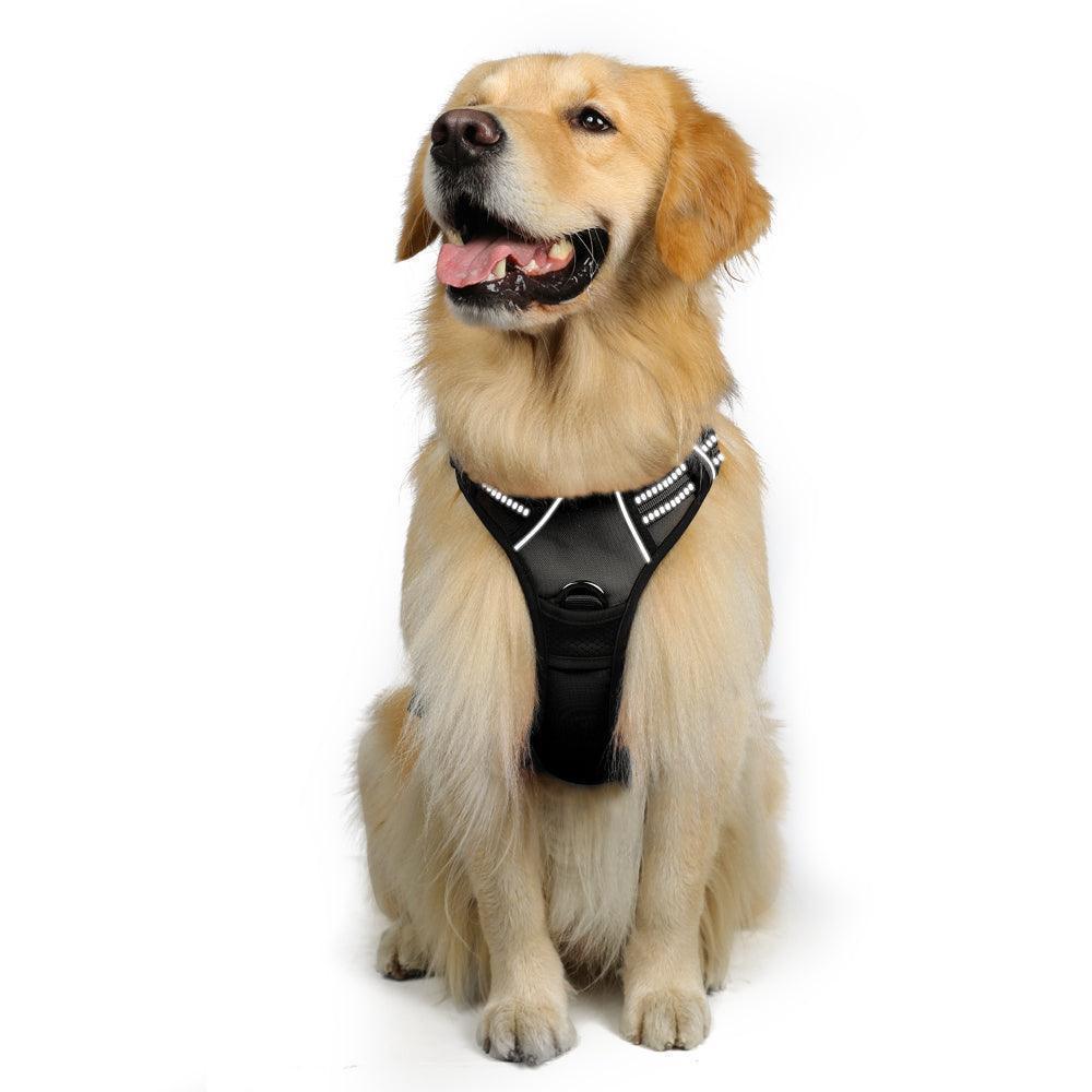 Classic Fit No Pull Dog Harness