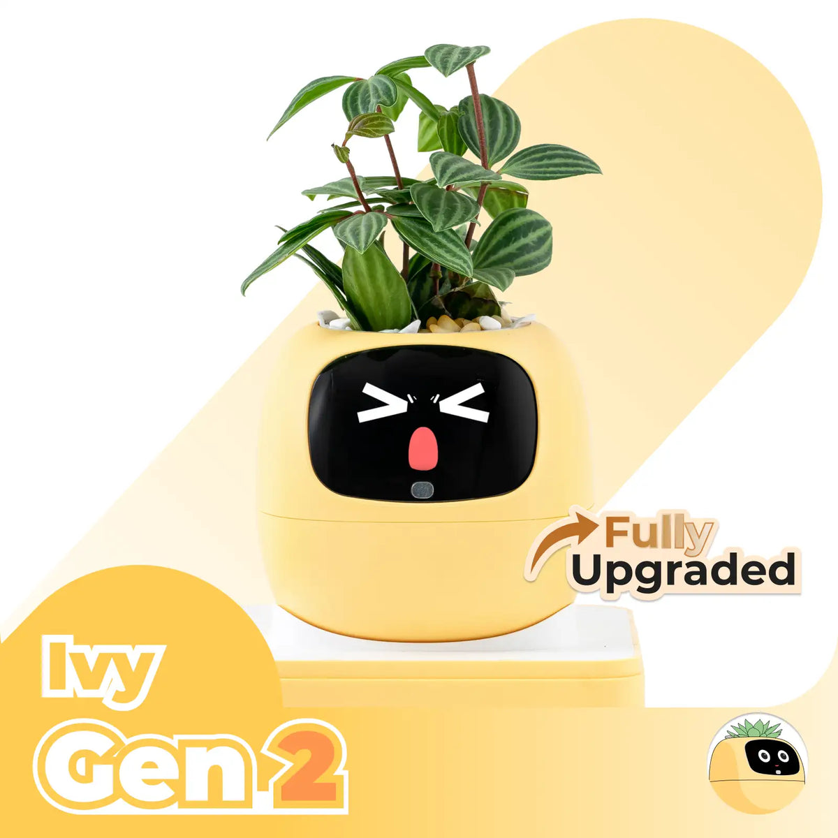 Ivy | Desk Plant Pet