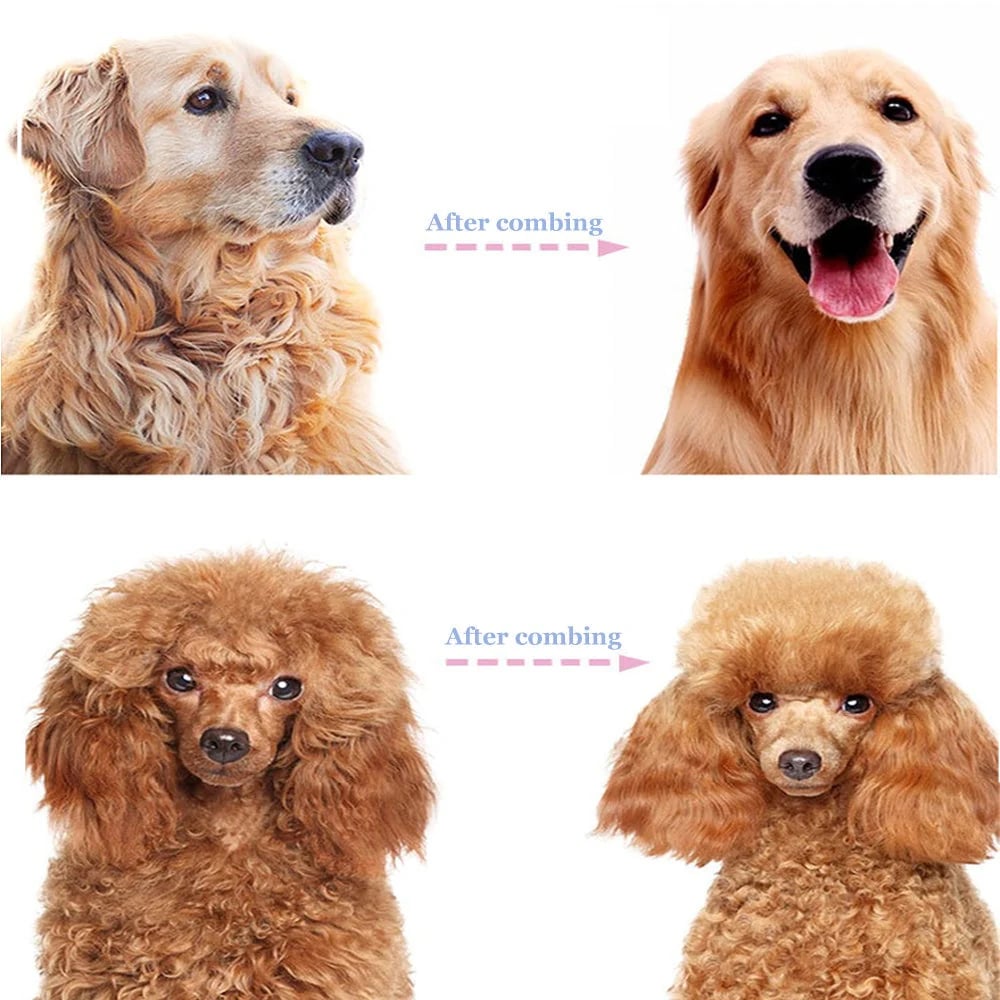 1+1 Free | Professional Pet Grooming Tool Removes Mats and Shedding