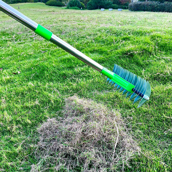 VerduraPro™ - Revive Your Lawn with Lush, Healthy Grass Easily