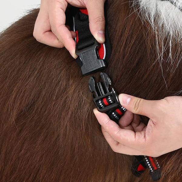 Classic Fit No Pull Dog Harness