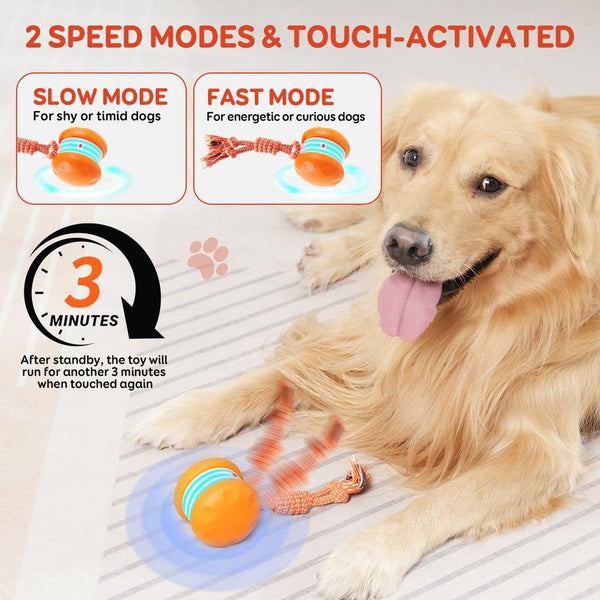 PouncePulse™ Interactive Motion-Activated Dog Toy