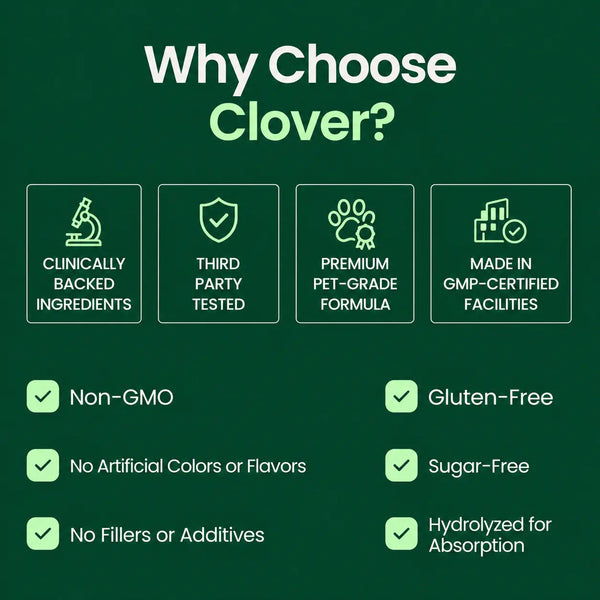 Clover Premium Liquid Collagen