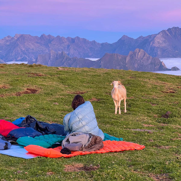 Coziya Inflatable Sleeping Pad
