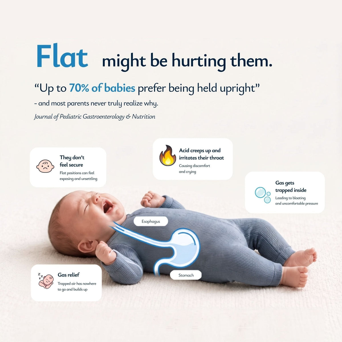 BabyNest™ Inclined Comfort Support Lounger