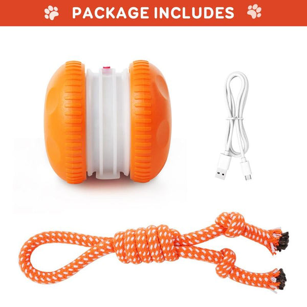 PouncePulse™ Interactive Motion-Activated Dog Toy
