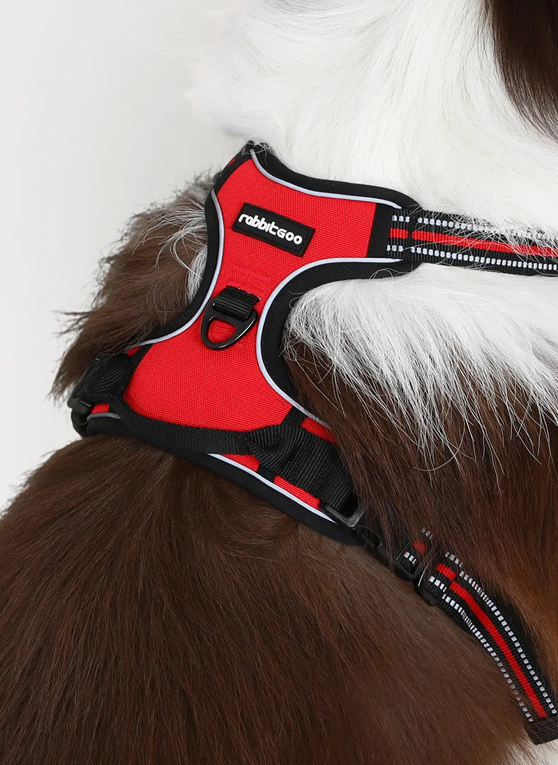 Classic Fit No Pull Dog Harness
