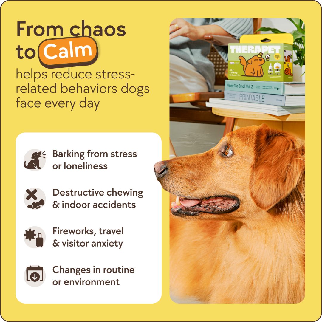 Dogs Calming Diffuser Kit