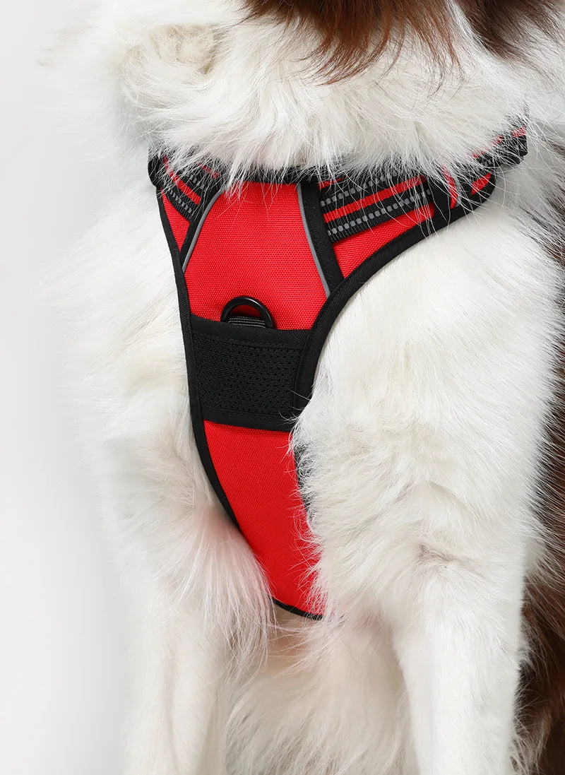 Classic Fit No Pull Dog Harness
