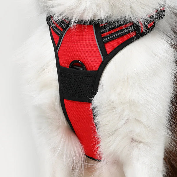 Classic Fit No Pull Dog Harness