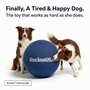 Ruckus™ | Herding Ball