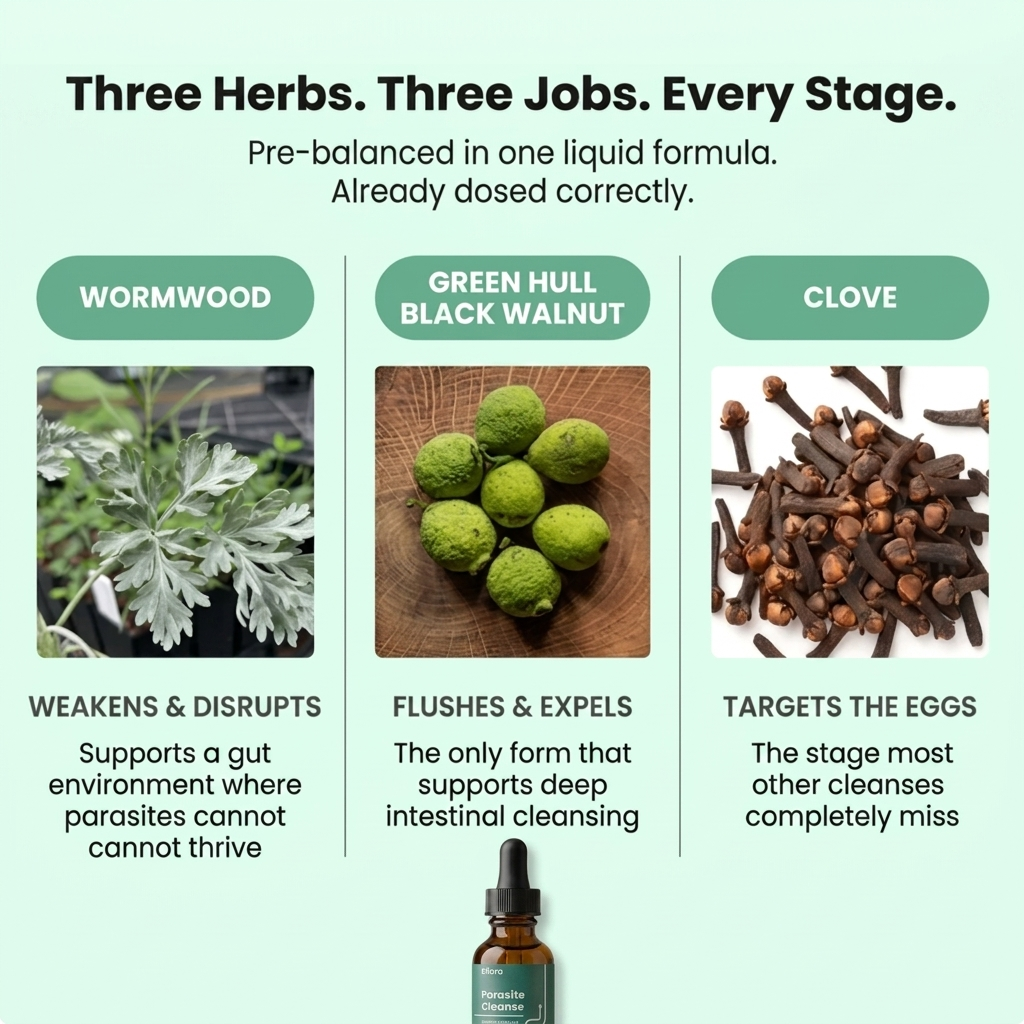 HerbaClear™ Parasite Cleanse